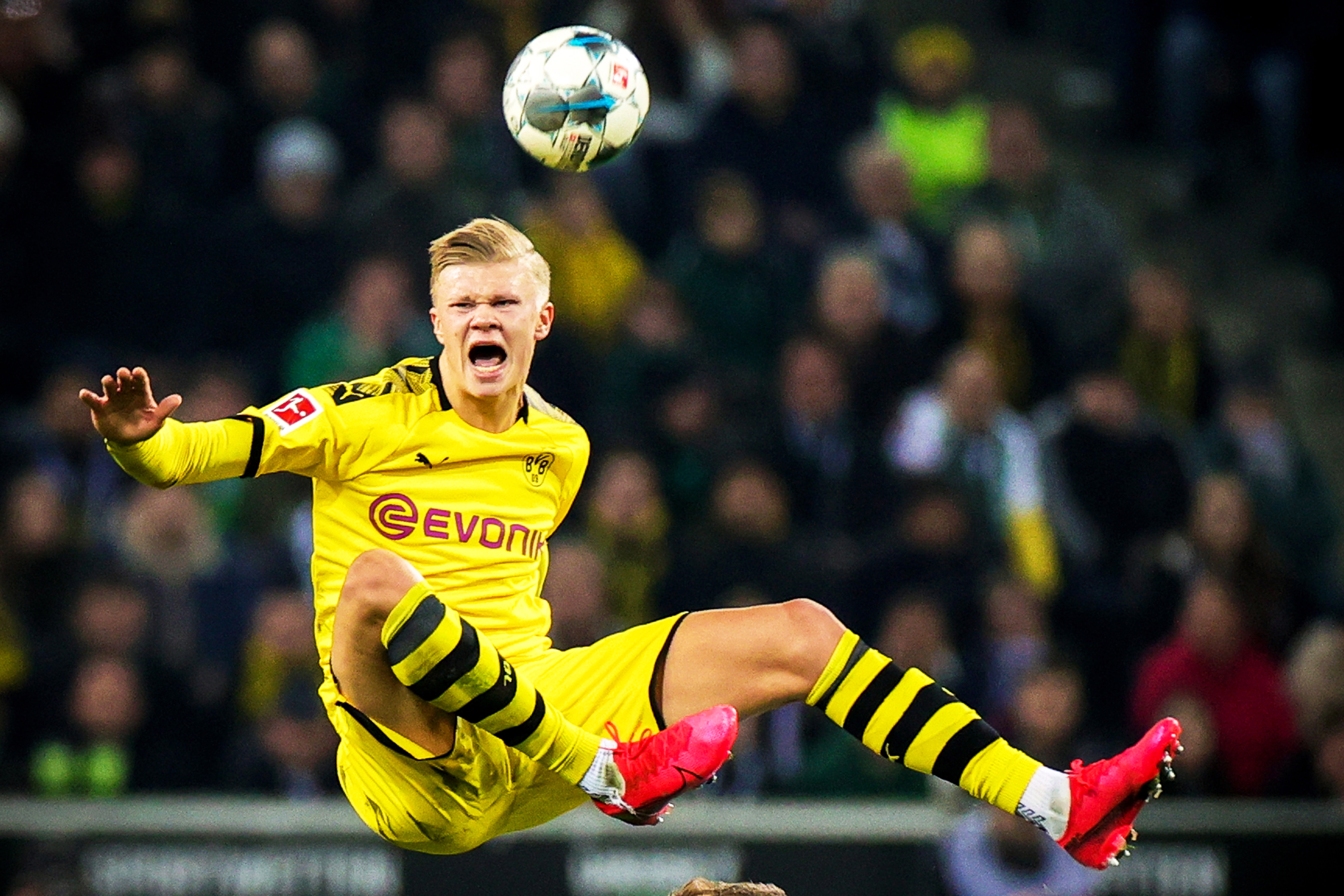 情绪弹性 情绪弹性